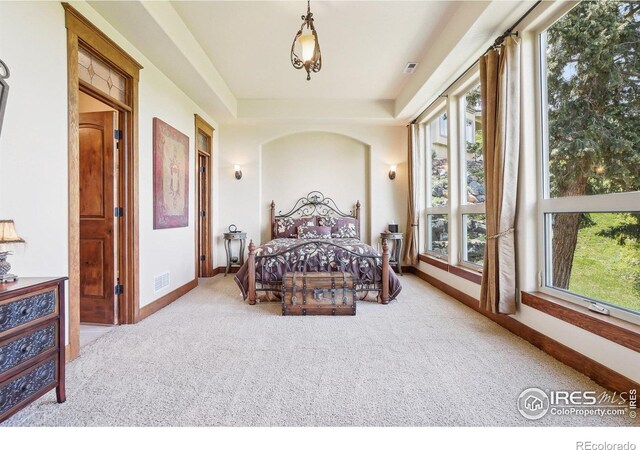 10113 Thunder Run, Littleton, CO 80125 - photo 33