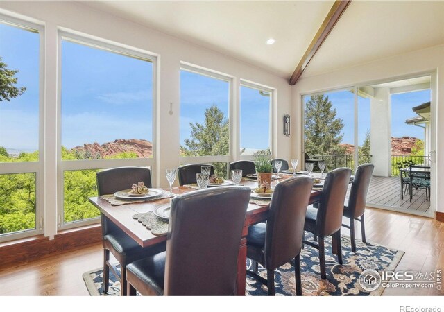 10113 Thunder Run, Littleton, CO 80125 - photo 19