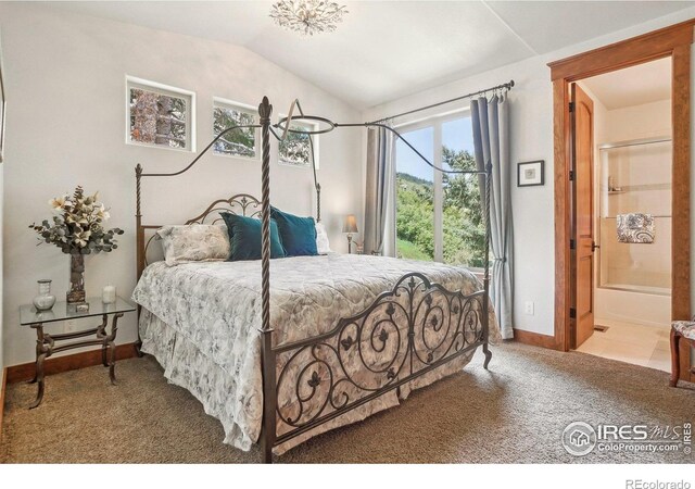 10113 Thunder Run, Littleton, CO 80125 - photo 38