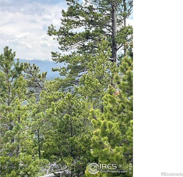 2182 Osage Trl, Red Feather Lakes, CO 80545