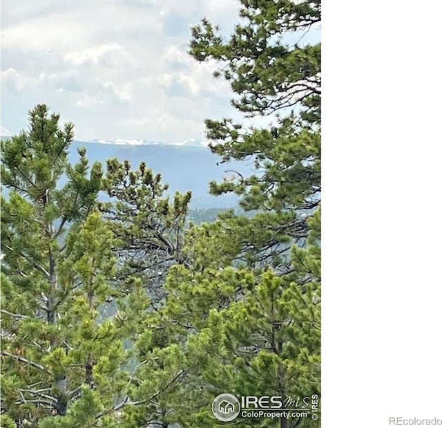 2182 Osage Trl, Red Feather Lakes, CO 80545