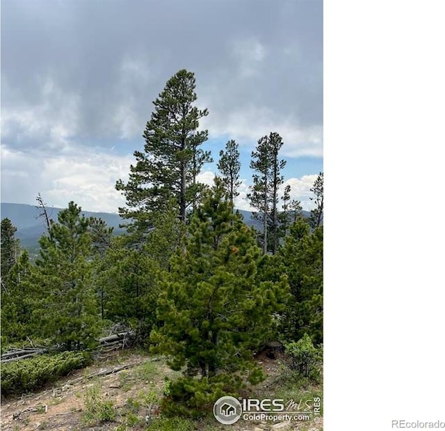 2182 Osage Trl, Red Feather Lakes, CO 80545
