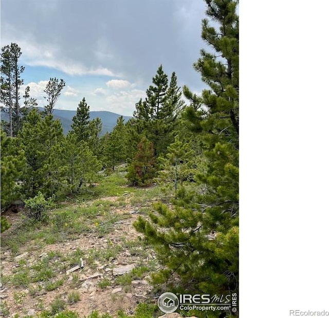 2182 Osage Trl, Red Feather Lakes, CO 80545