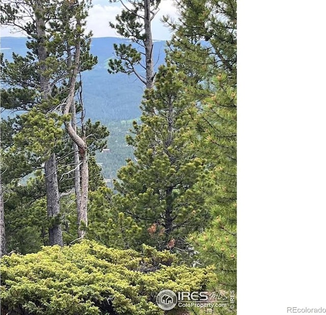 2182 Osage Trl, Red Feather Lakes, CO 80545