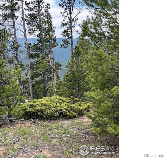 2182 Osage Trl, Red Feather Lakes, CO 80545