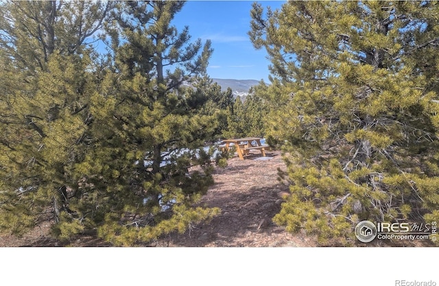 2182 Osage Trl, Red Feather Lakes, CO 80545