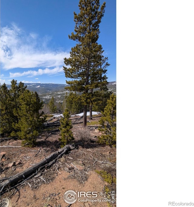2182 Osage Trl, Red Feather Lakes, CO 80545
