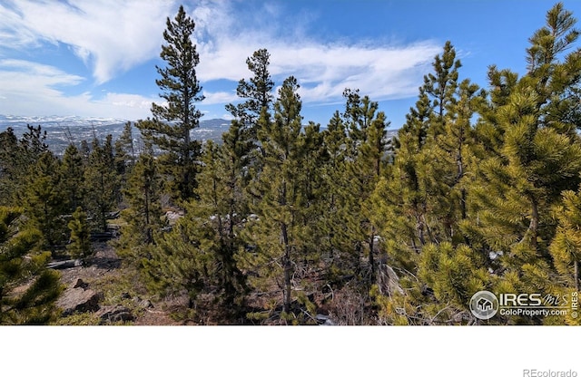 2182 Osage Trl, Red Feather Lakes, CO 80545