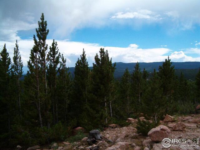 2182 Osage Trl, Red Feather Lakes, CO 80545
