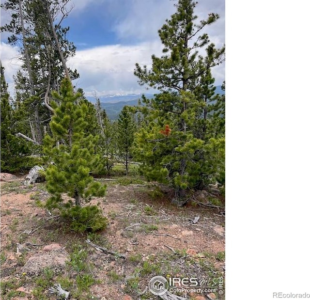 2182 Osage Trl, Red Feather Lakes, CO 80545