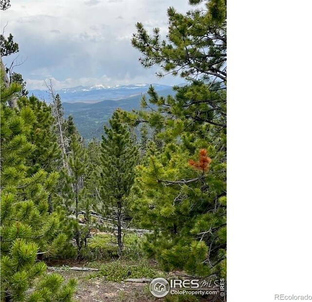 2182 Osage Trl, Red Feather Lakes, CO 80545