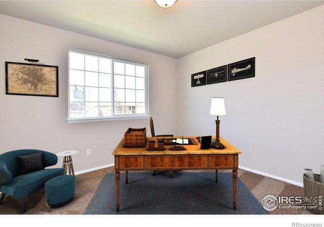8631 8th St, Greeley, CO 80634 - photo 8