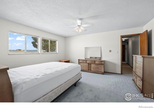 18333 County Road 19, Johnstown, CO 80534 - photo 27