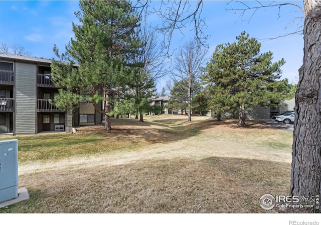 925 Columbia Rd Unit 233, Fort Collins, CO 80525 - view of yard