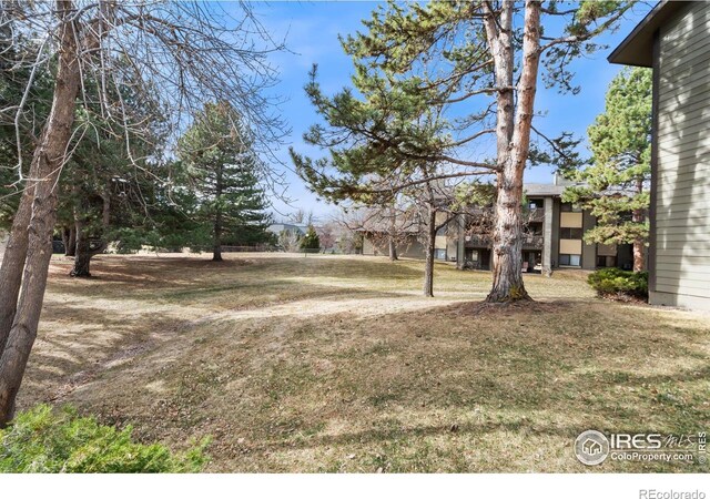 925 Columbia Rd Unit 233, Fort Collins, CO 80525 - view of yard