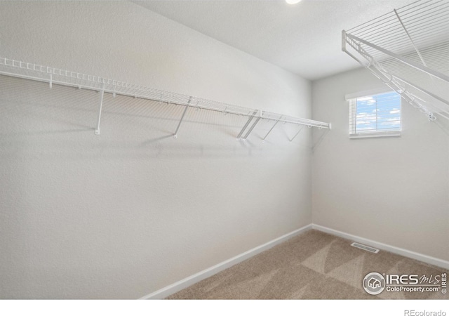 walk in closet featuring visible vents and carpet floors
