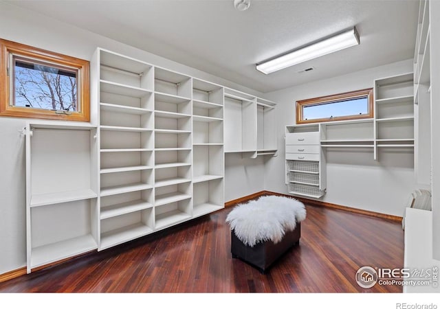 walk in closet with visible vents and wood finished floors