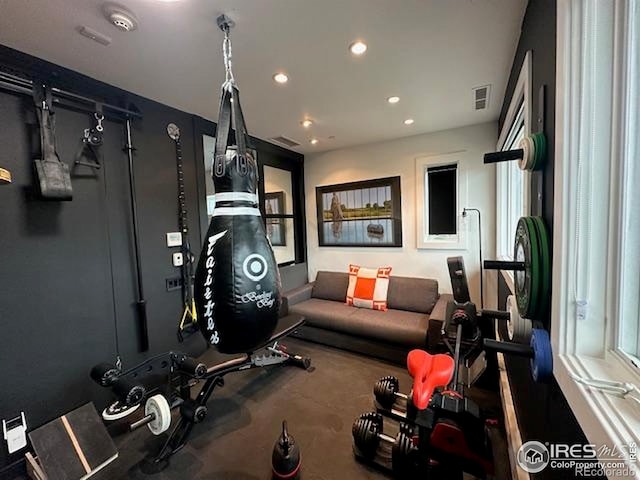 100 E Cooper Ave E Unit 7, Aspen, CO 81611 - workout area featuring recessed lighting, carpet, and visible vents