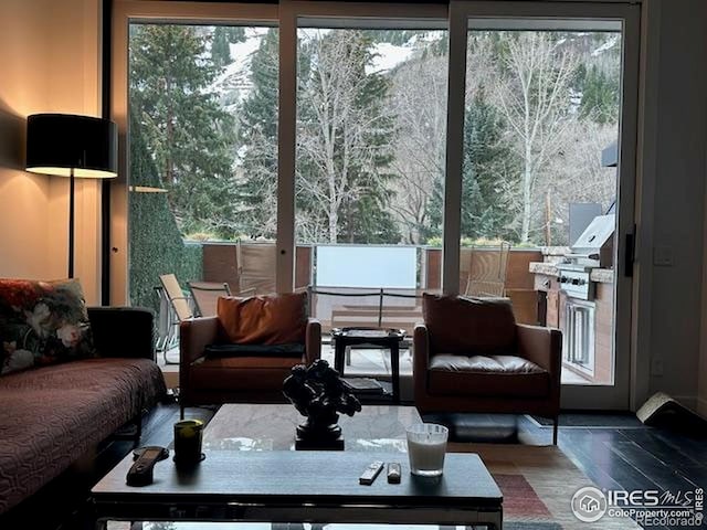 100 E Cooper Ave E Unit 7, Aspen, CO 81611 - sunroom with a healthy amount of sunlight
