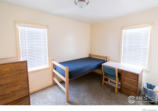 2229 10th Ave, Greeley, CO 80631 - bedroom with baseboards and carpet