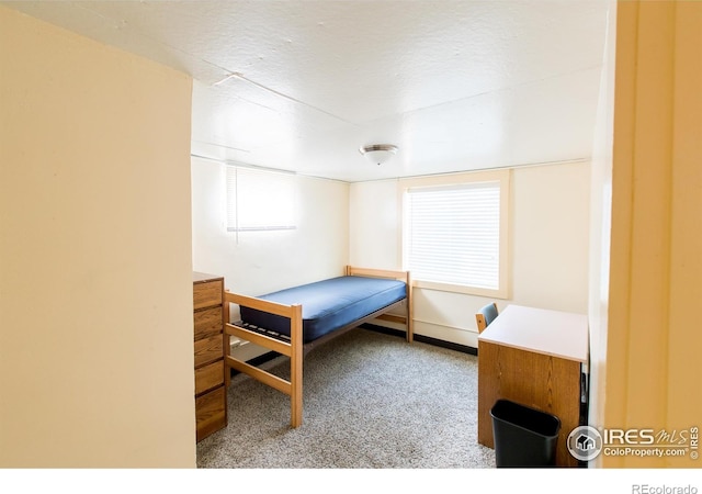 2229 10th Ave, Greeley, CO 80631 - carpeted bedroom with a textured ceiling