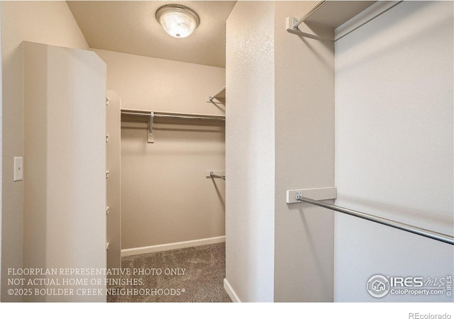 2387 Bristol St, Superior, CO 80027 - walk in closet featuring carpet flooring