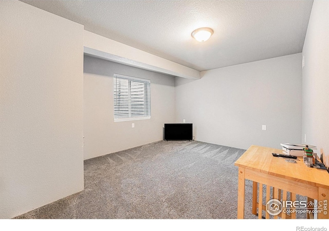 1108 Osprey Way, Wiggins, CO 80654 - interior space with a textured ceiling