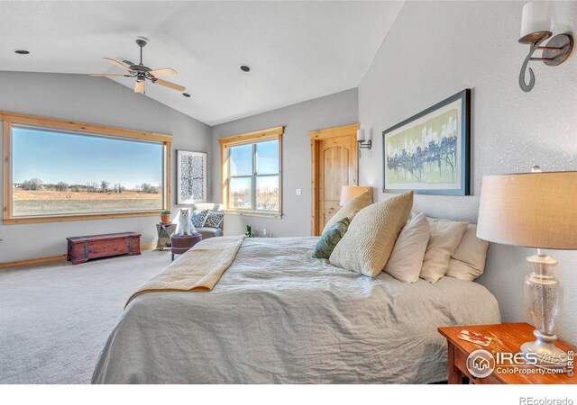 413 E Elm St, Lafayette, CO 80026 - bedroom with vaulted ceiling, carpet floors, and baseboards