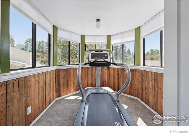 6850 Frying Pan Rd, Boulder, CO 80301 - exercise room with wood walls, plenty of natural light, carpet, and baseboards