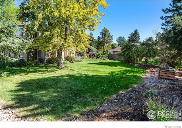 6850 Frying Pan Rd, Boulder, CO 80301 - view of yard