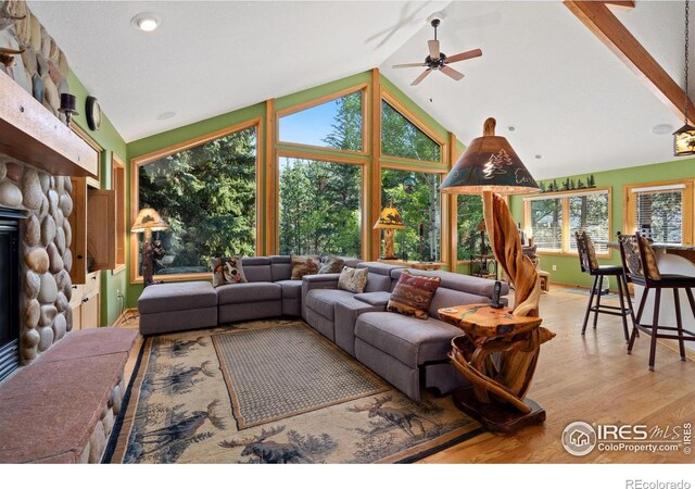 1069 Fall River Ct, Estes Park, CO 80517 - photo 6