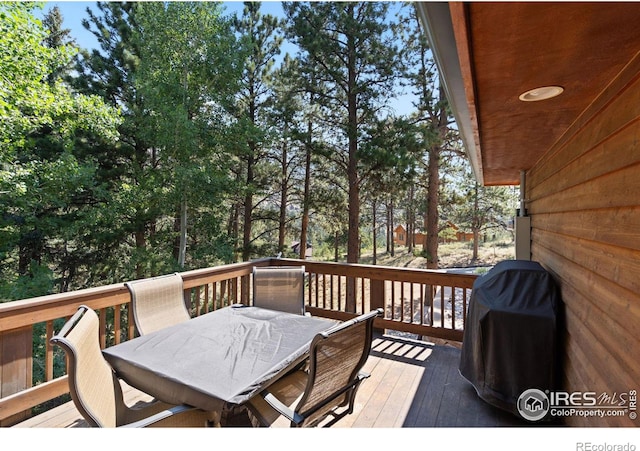 1069 Fall River Ct, Estes Park, CO 80517 - photo 13