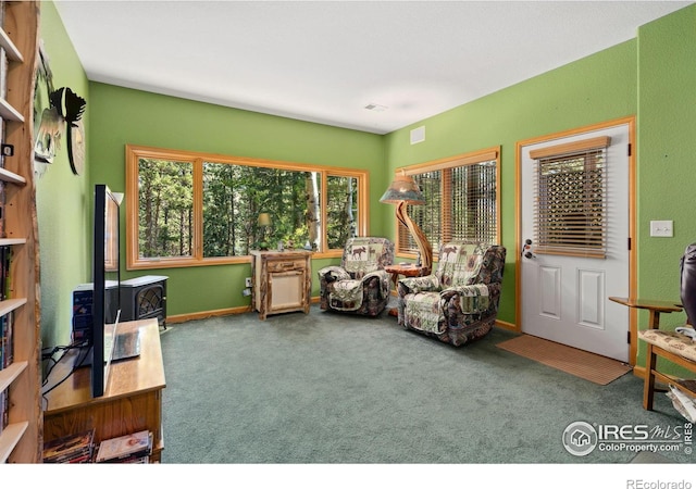 1069 Fall River Ct, Estes Park, CO 80517 - photo 20
