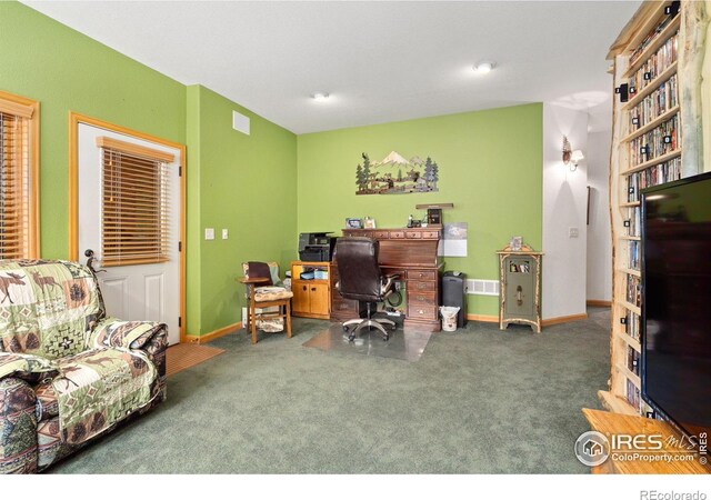 1069 Fall River Ct, Estes Park, CO 80517 - photo 21