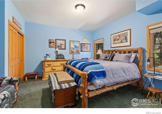 1069 Fall River Ct, Estes Park, CO 80517 - photo 22