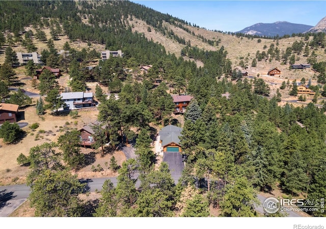 1069 Fall River Ct, Estes Park, CO 80517 - photo 31