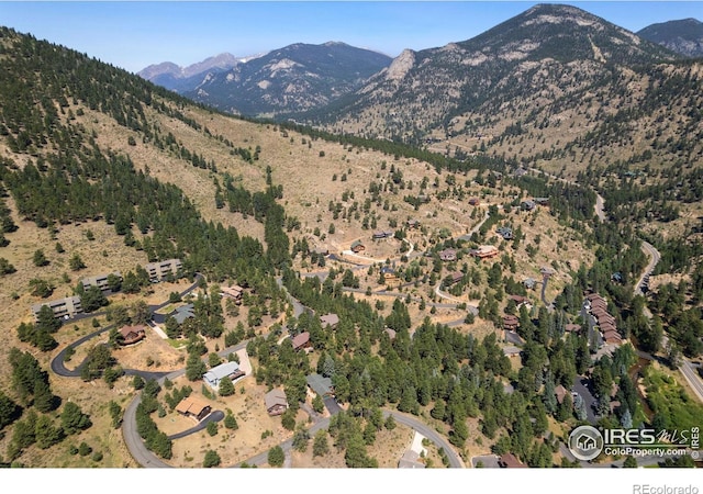 1069 Fall River Ct, Estes Park, CO 80517 - photo 32