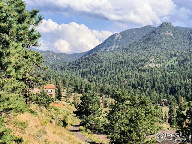 2045 Windcliff Dr, Estes Park, CO 80517 - photo 16