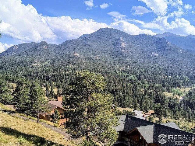 2045 Windcliff Dr, Estes Park, CO 80517 - photo 17
