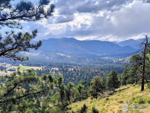 2045 Windcliff Dr, Estes Park, CO 80517 - photo 19