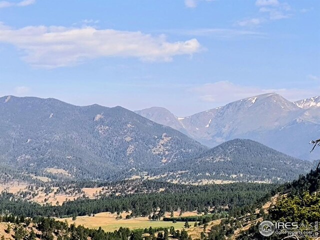 2045 Windcliff Dr, Estes Park, CO 80517 - photo 20