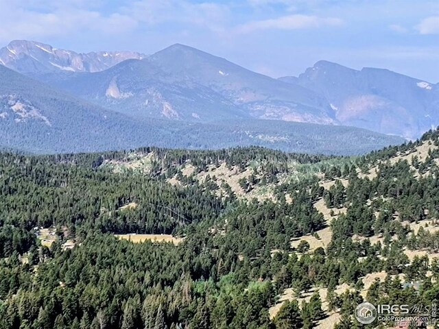 2045 Windcliff Dr, Estes Park, CO 80517 - photo 18
