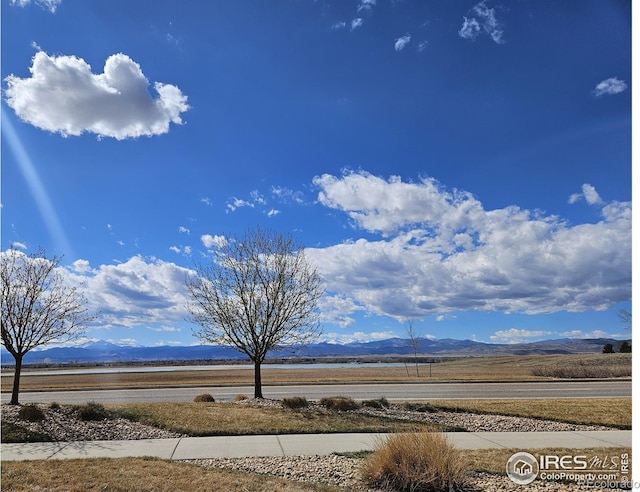 2449 Trio Falls Dr, Loveland, CO 80538 - exterior space featuring a mountain view