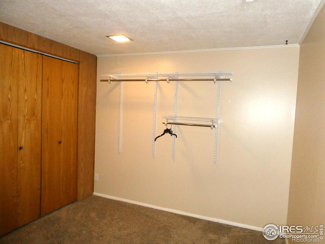 spacious closet featuring carpet flooring