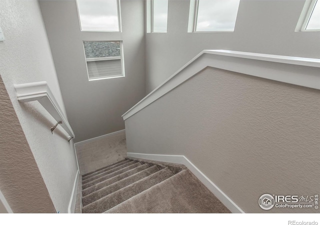 1219 105th Avenue Ct, Greeley, CO 80634 - staircase with carpet flooring, a textured wall, and baseboards