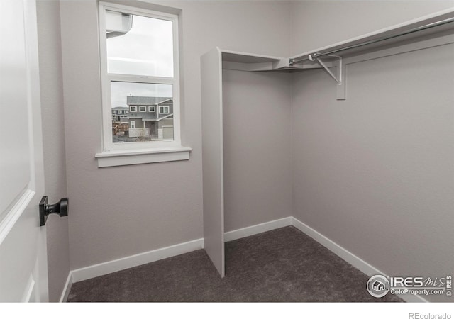 1219 105th Avenue Ct, Greeley, CO 80634 - spacious closet with dark carpet