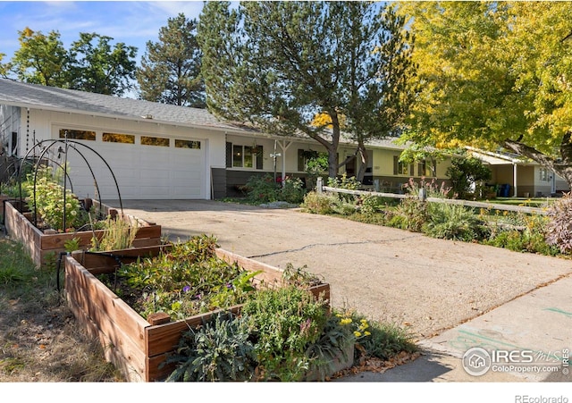 ranch-style house featuring a vegetable garden, driveway, and an attached garage