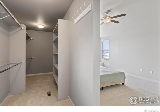 walk in closet featuring carpet flooring and a ceiling fan