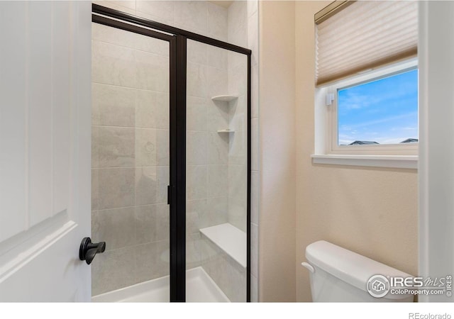316 Rhubarb Dr, Berthoud, CO 80513 - photo 21