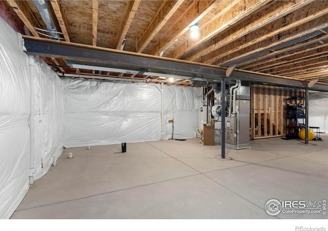 316 Rhubarb Dr, Berthoud, CO 80513 - photo 28